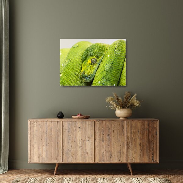 Obraz na szkle węża (70x50 cm)