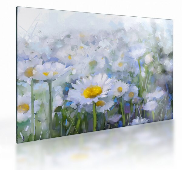 Obraz na szkle - W stokrotkach (70x50 cm)