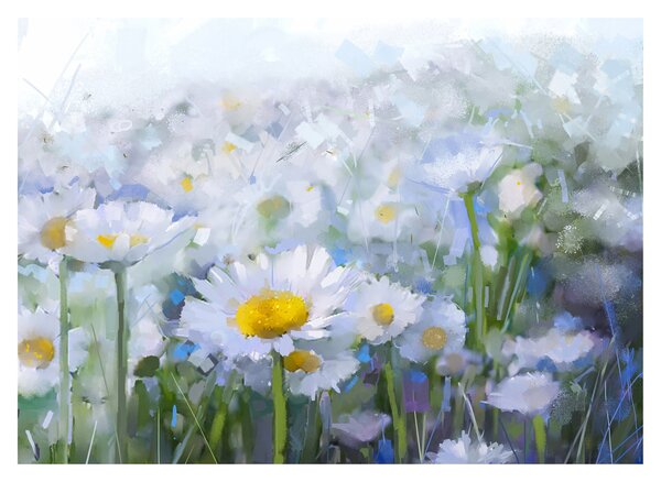 Obraz na szkle - W stokrotkach (70x50 cm)