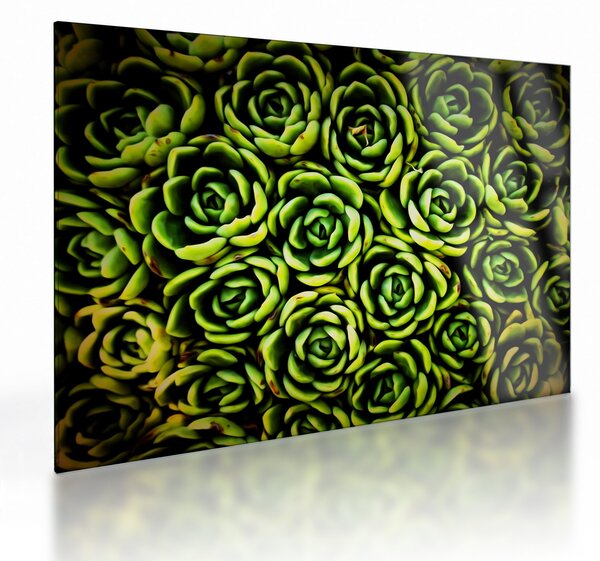 Obraz na szkle bez grzywki (70x50 cm)