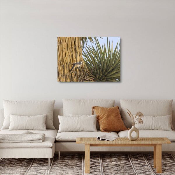 Obraz na szkle - Strzyżyk (70x50 cm)