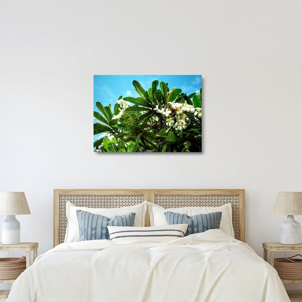 Obraz na szkle - Plumeria (70x50 cm)