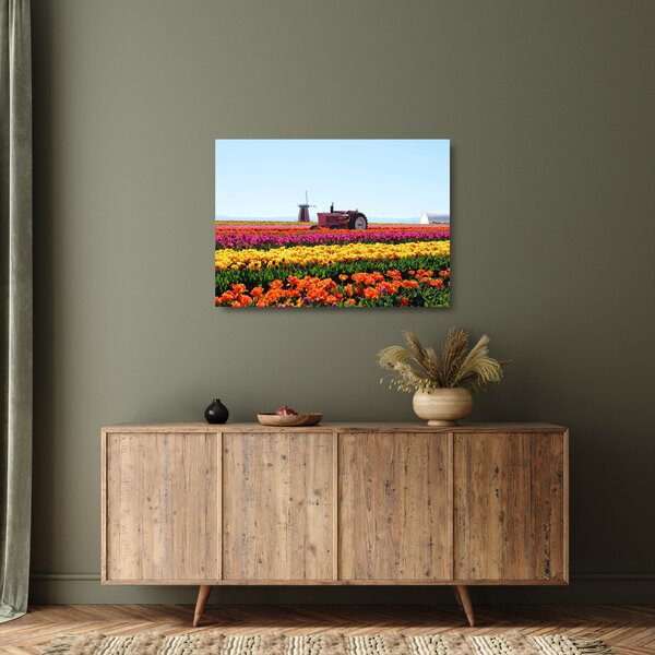 Obraz na szkle farmy tulipanów (70x50 cm)
