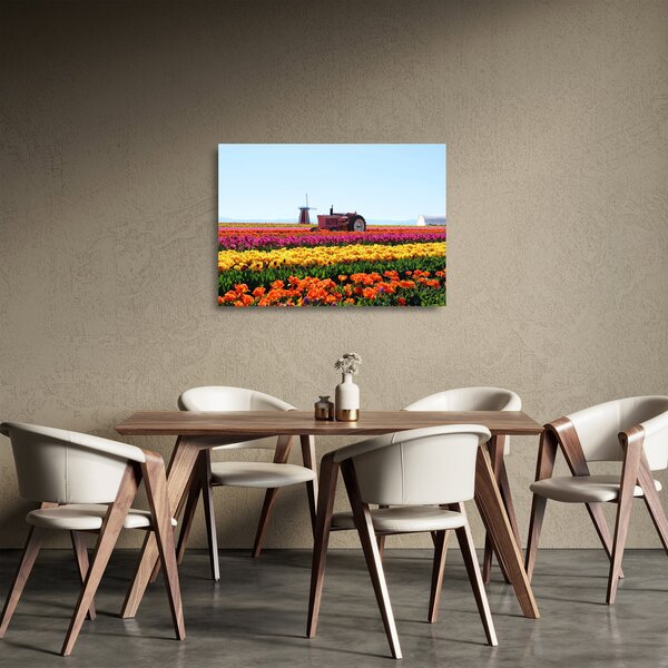 Obraz na szkle farmy tulipanów (70x50 cm)