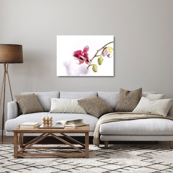 Obraz na szkle kwiatu orchidei (70x50 cm)