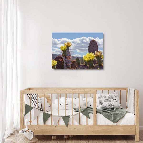 Obraz na szkle opuncji (70x50 cm)