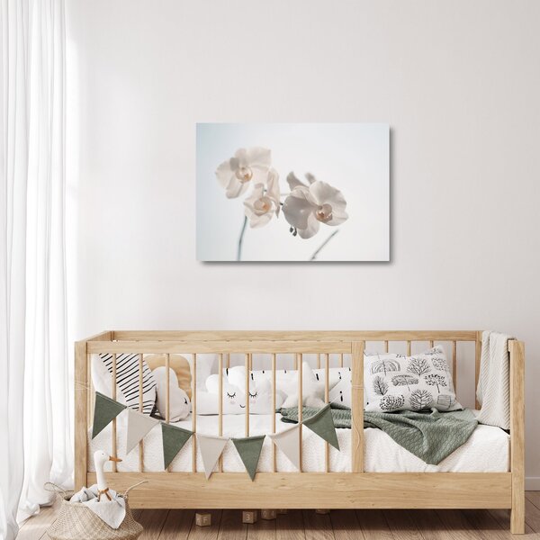 Obraz na szkle białej orchidei (70x50 cm)