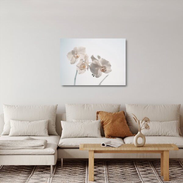 Obraz na szkle białej orchidei (70x50 cm)