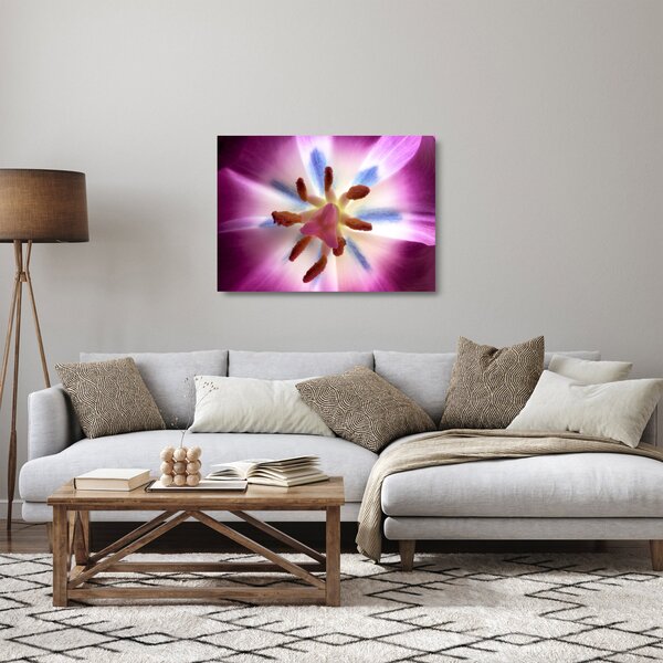 Obraz na szkle - Kwiat tulipana w szczegółach (70x50 cm)