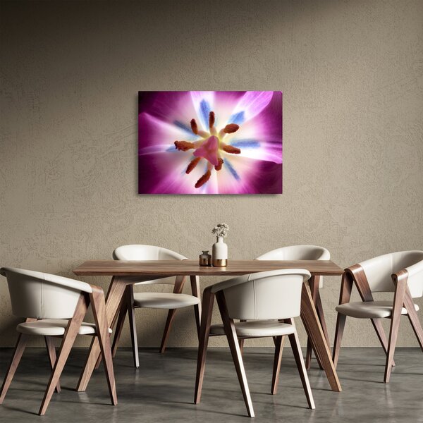 Obraz na szkle - Kwiat tulipana w szczegółach (70x50 cm)
