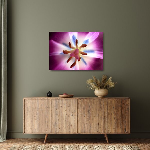 Obraz na szkle - Kwiat tulipana w szczegółach (70x50 cm)