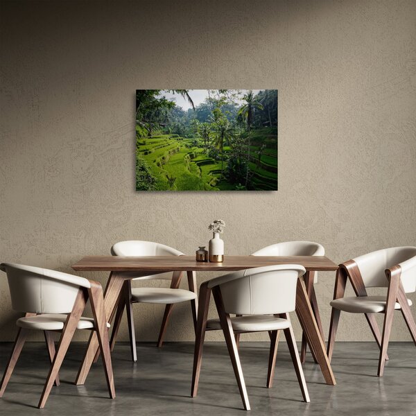Obraz na szkle tarasów ryżowych Tegalalang, Bali (70x50 cm)