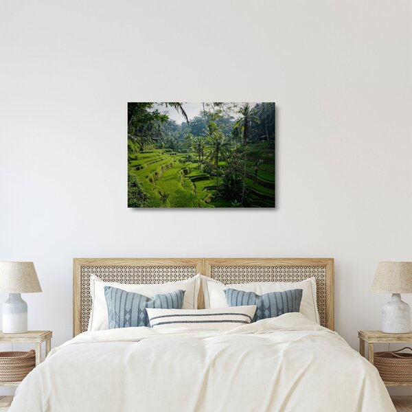 Obraz na szkle tarasów ryżowych Tegalalang, Bali (70x50 cm)