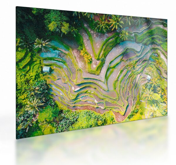 Obraz na szkle pól ryżowych z lotu ptaka (70x50 cm)