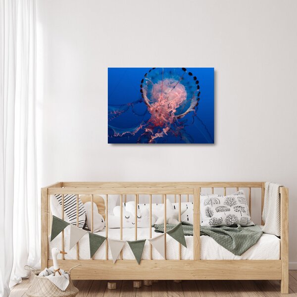 Obraz na szkle meduzy (70x50 cm)