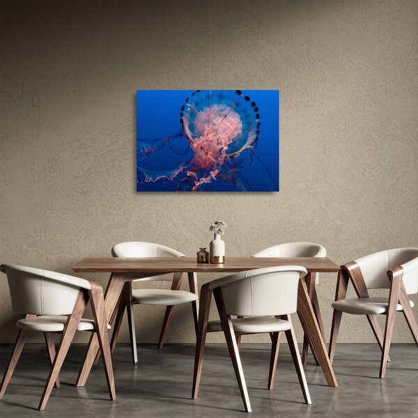 Obraz na szkle meduzy (70x50 cm)