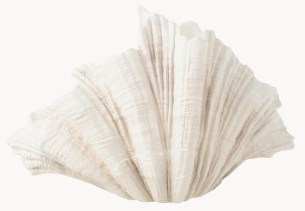 Wazon Clam, W 31 cm