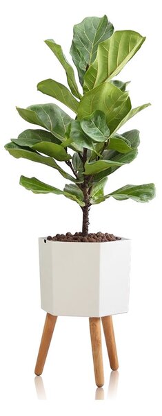 Biała doniczka samonawadniająca Tomasucci Calla, ø 22,8 cm