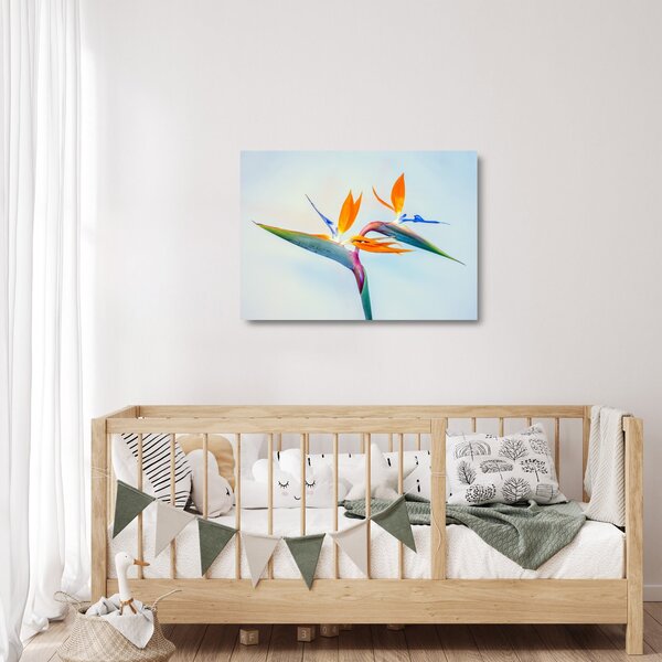 Obraz na szkle kwiatu Strelicji (70x50 cm)