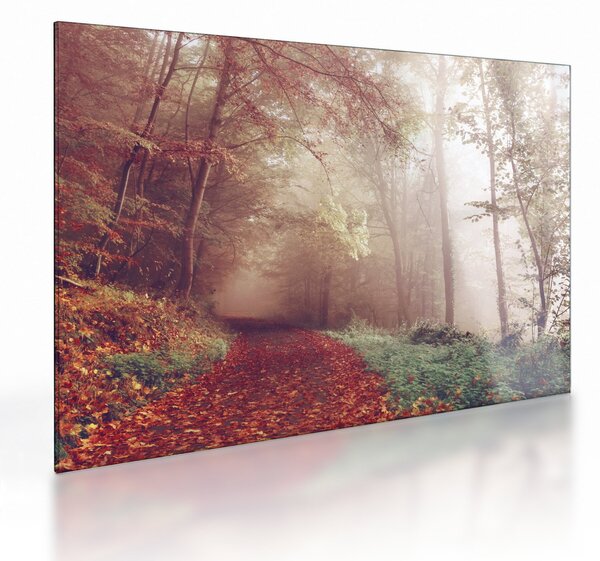Obraz na szkle - Jesienny spacer po lesie (70x50 cm)