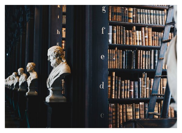 Obraz na szkle - W bibliotece (70x50 cm)