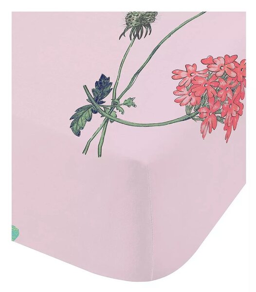 Prześcieradło dziecięce jednoosobowe z gumką 90x190 cm Butterfly Garden – RHS