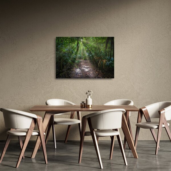 Obraz na szkle - Promienie słońca w dżungli (70x50 cm)