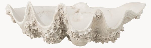 Misa dekoracyjna Seashell
