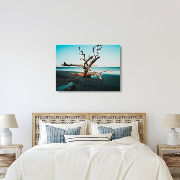 Obraz na szkle - Wyłowiono na plaży (70x50 cm)
