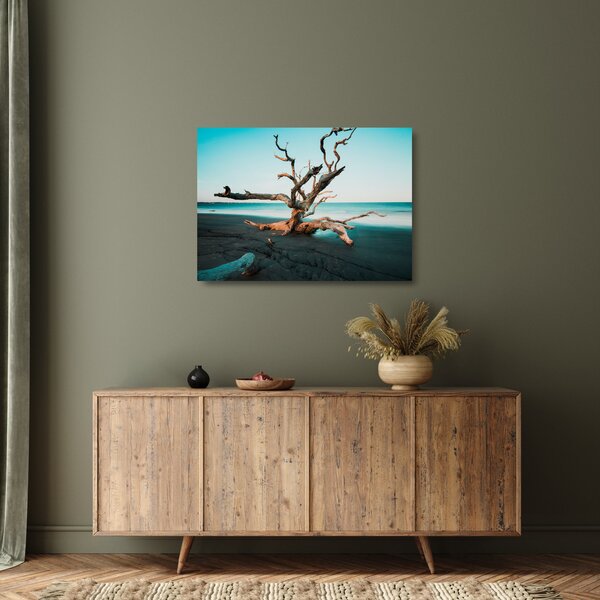 Obraz na szkle - Wyłowiono na plaży (70x50 cm)