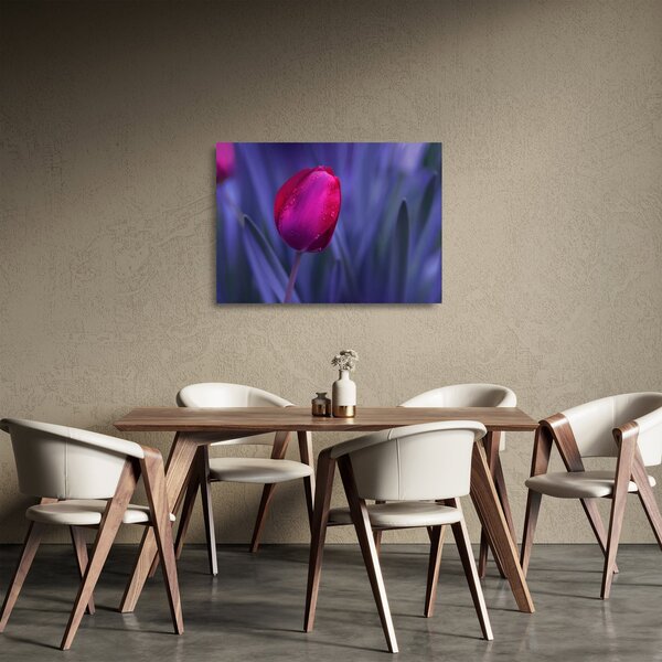 Obraz na szkle pąka tulipana (70x50 cm)