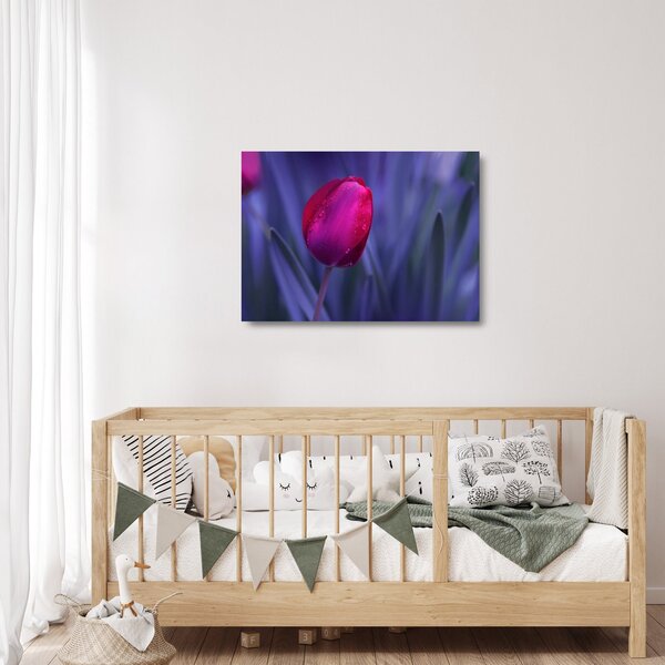 Obraz na szkle pąka tulipana (70x50 cm)
