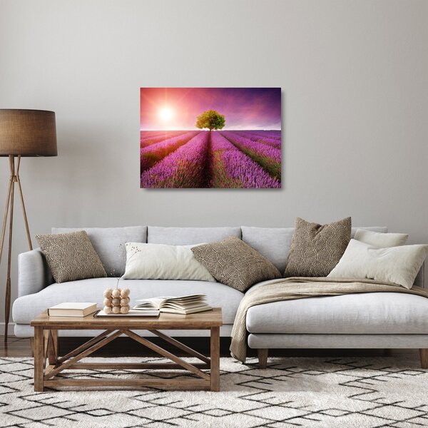 Obraz na szkle pola z lawendą (70x50 cm)