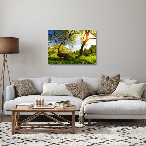 Obraz na szkle wiosennej łąki (70x50 cm)