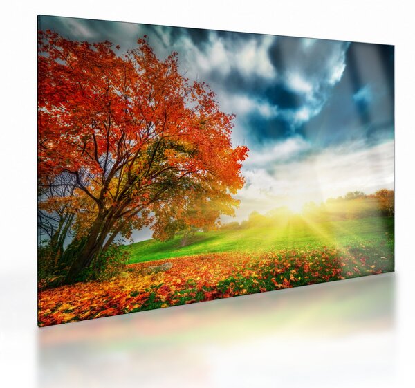 Obraz na szkle skąpanego w słońcu krajobrazu (70x50 cm)