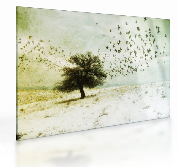 Obraz na szkle - Malowane stado ptaków (70x50 cm)