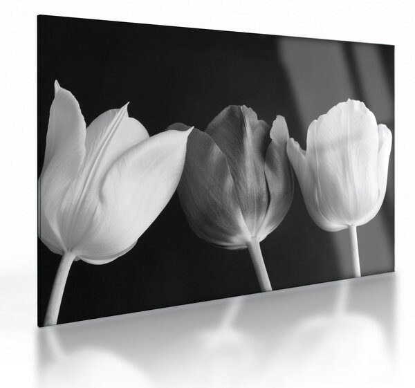 Obraz na szkle - Czarno - białe kwiaty tulipanów (70x50 cm)