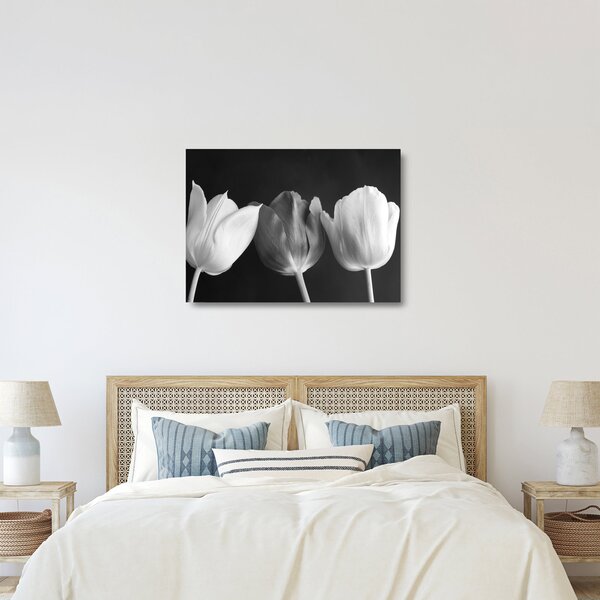 Obraz na szkle - Czarno - białe kwiaty tulipanów (70x50 cm)