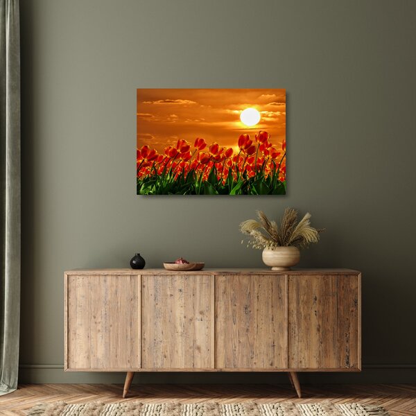 Obraz na szkle kwitnącego pola z tulipanami (70x50 cm)