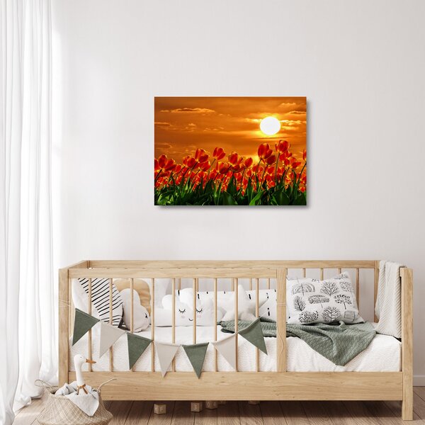 Obraz na szkle kwitnącego pola z tulipanami (70x50 cm)
