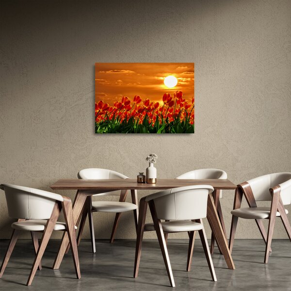 Obraz na szkle kwitnącego pola z tulipanami (70x50 cm)