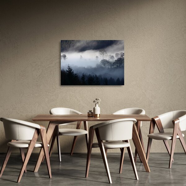 Obraz na szkle mgły nad lasem (70x50 cm)