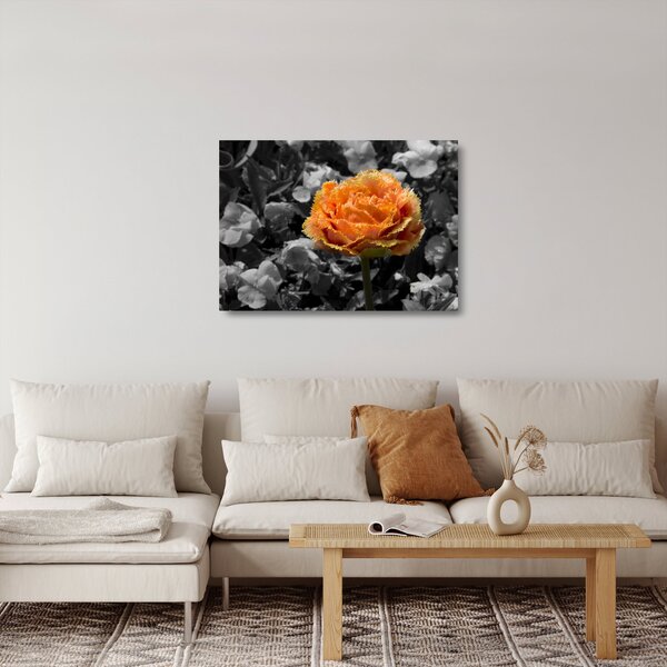 Obraz na szkle kwiatu (70x50 cm)