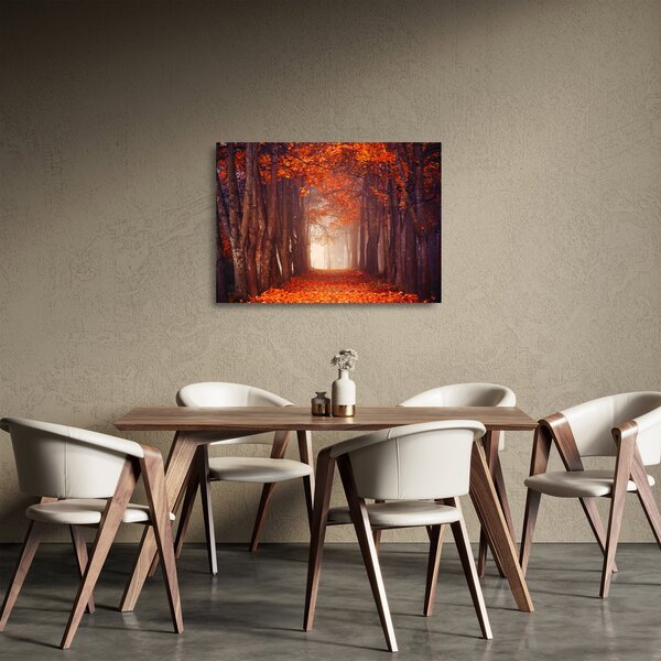 Obraz na szkle - Jesienny las (70x50 cm)