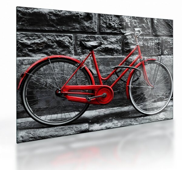 Obraz na szkle - Zabytkowy rower (70x50 cm)