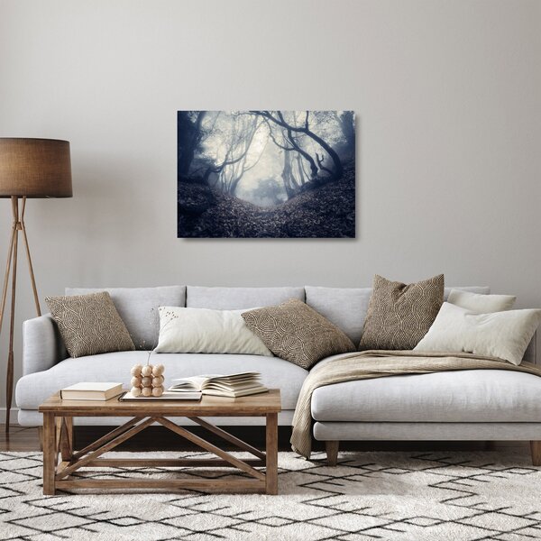 Obraz na szkle- Las we mgle (70x50 cm)