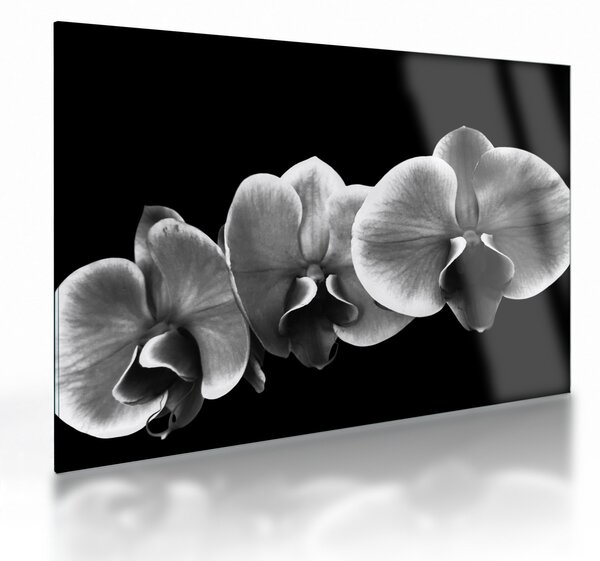 Obraz na szkle kwiatu orchidei (70x50 cm)