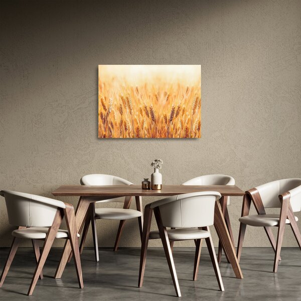 Obraz na szkle - pole z ziarnami (70x50 cm)