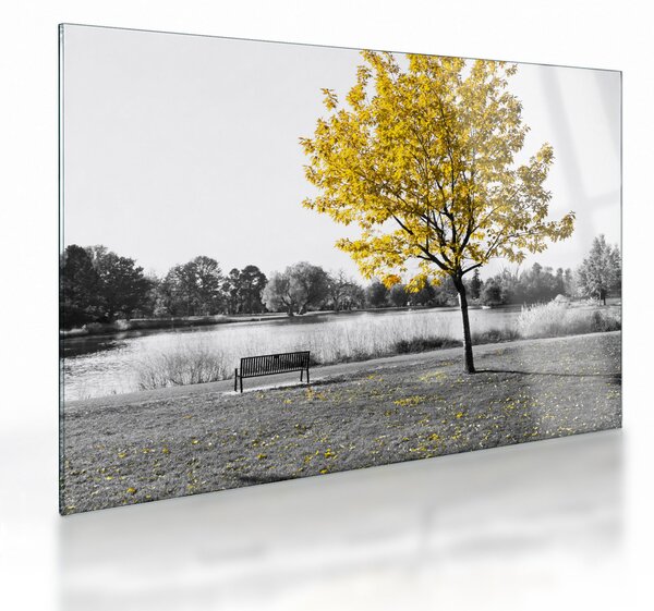 Obraz na szkle - Odpoczynek w parku (70x50 cm)