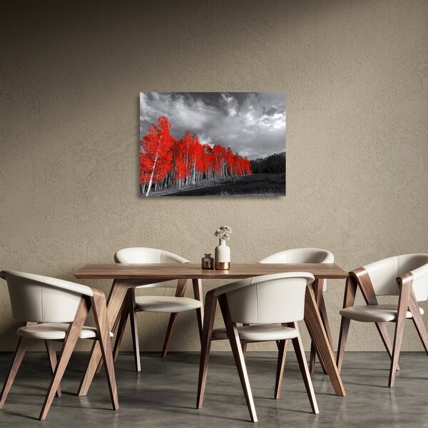 Obraz na szkle - Drzewa w kolorze jesieni (70x50 cm)